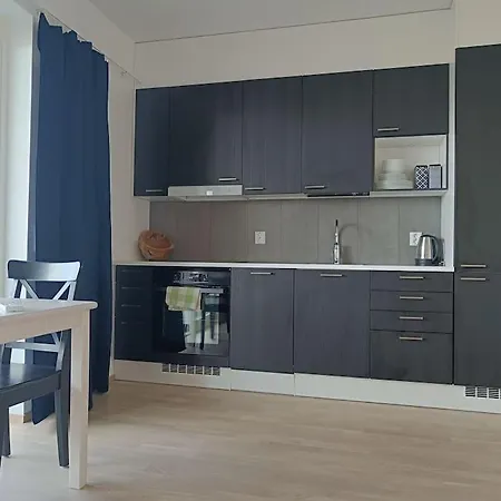 New Cityhall Flat With Sauna Joensuu